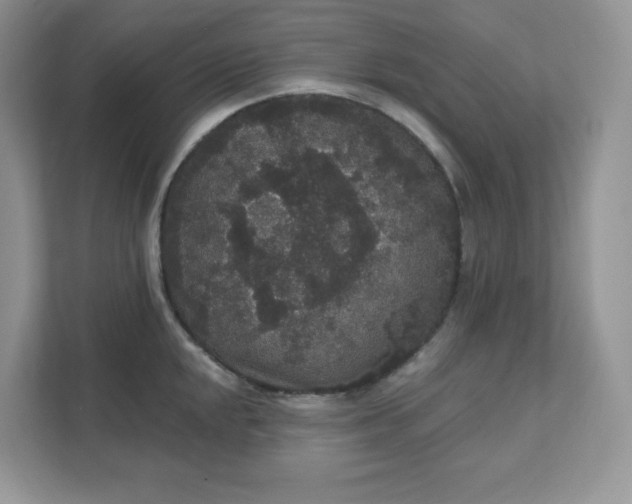 X0000111591048200907301422