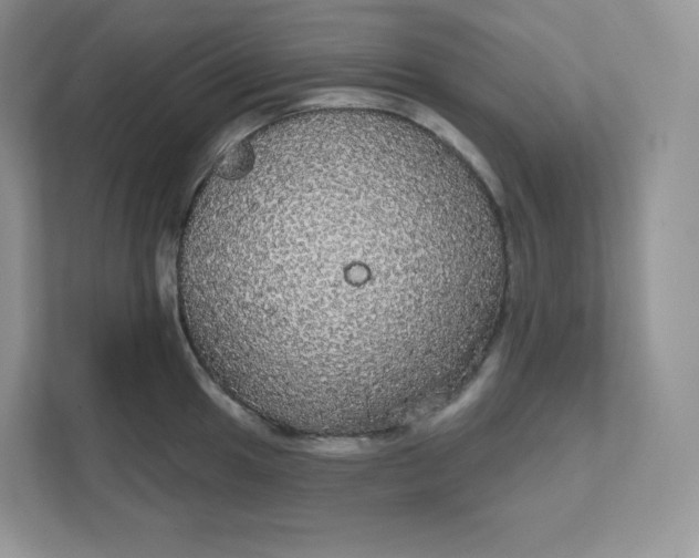 X0000111591049200907301422