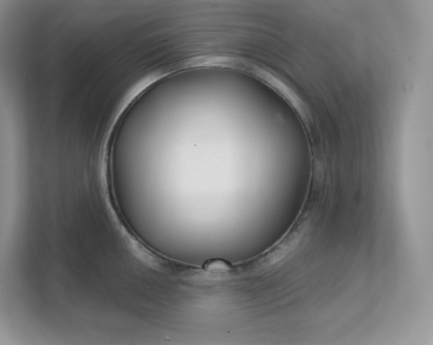 X0000111591050200907301422