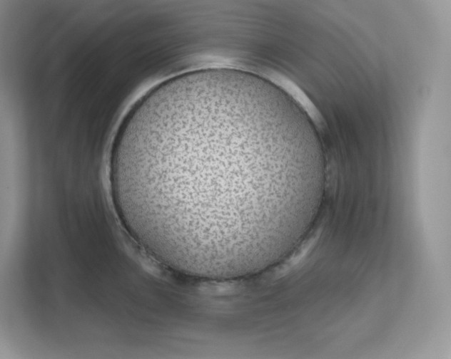 X0000111591051200907301422