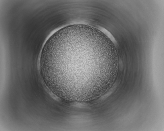 X0000111591052200907301422