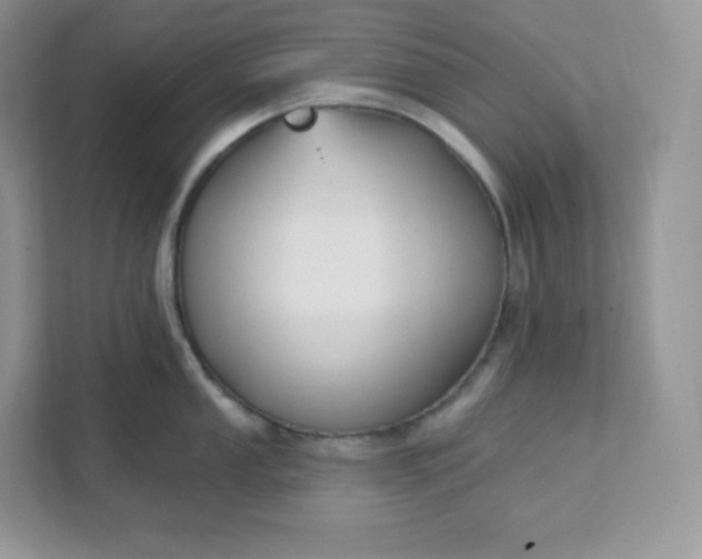 X0000111591053200907301422