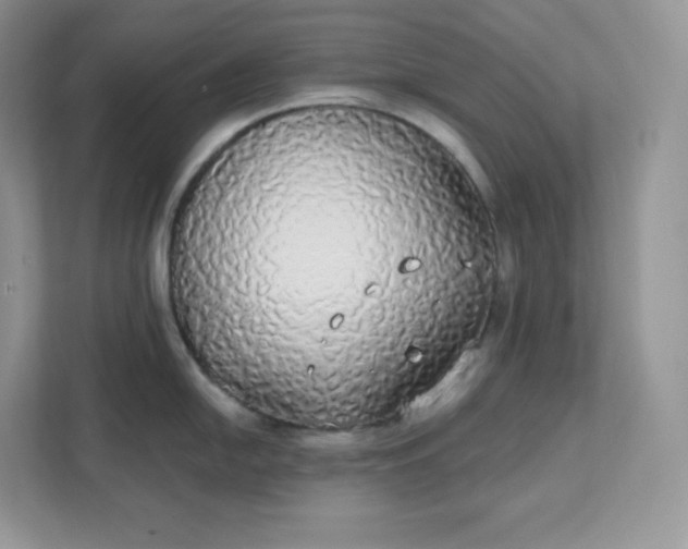 X0000111591054200907301422