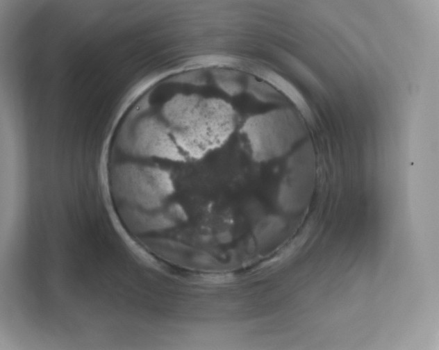 X0000111591055200907301422