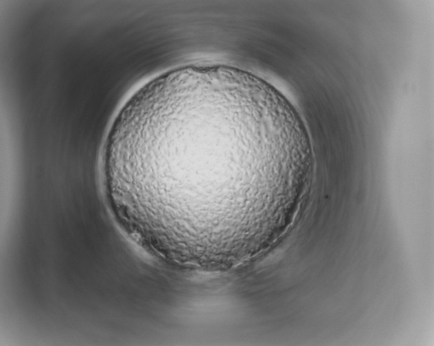 X0000111591056200907301422