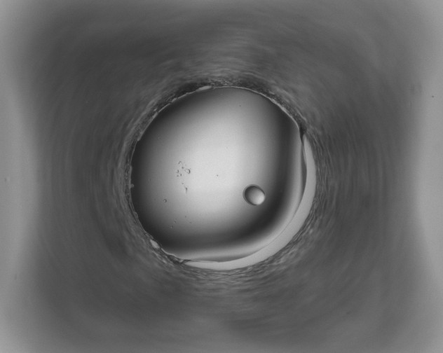 X0000111591057200907301421