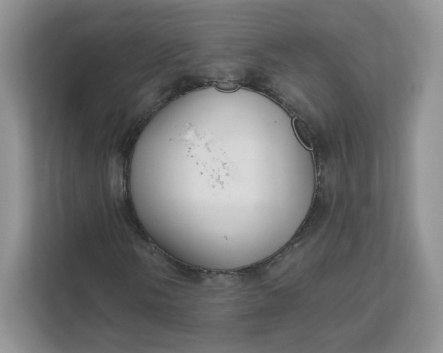 X0000111591058200907301421