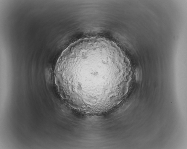 X0000111591059200907301421