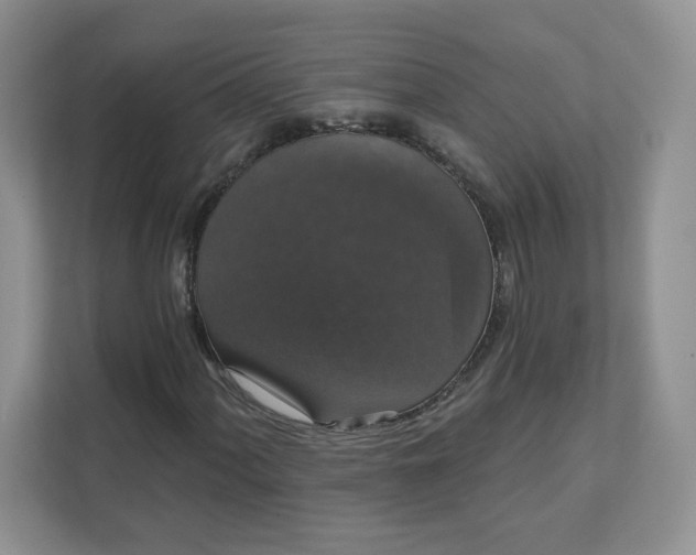 X0000111591060200907301421