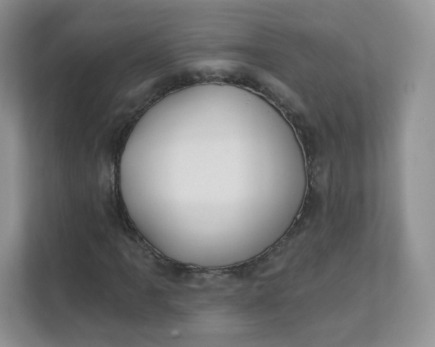 X0000111591061200907301421