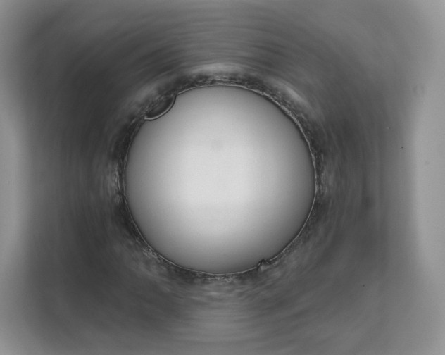 X0000111591062200907301421