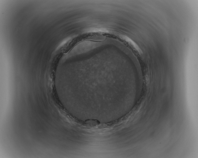 X0000111591064200907301421