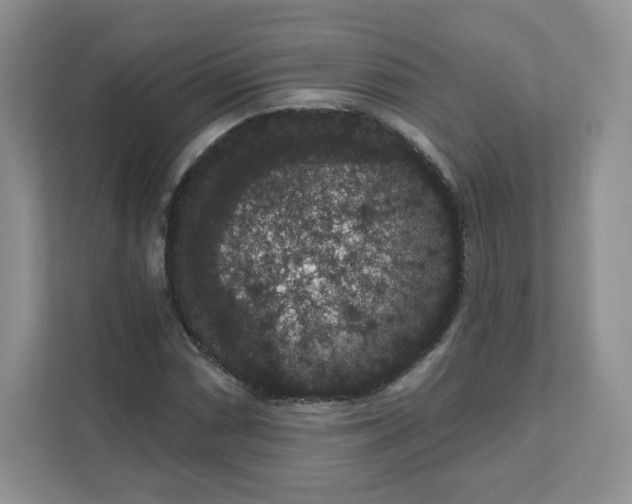 X0000111591066200907301421