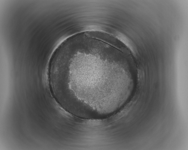 X0000111591068200907301421