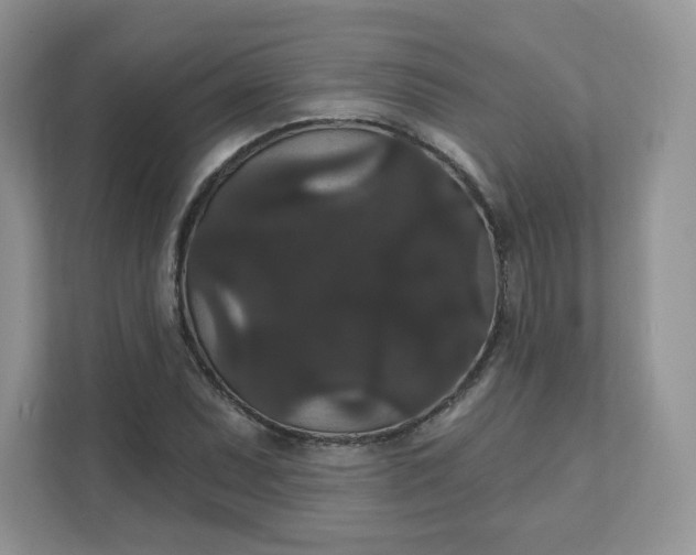 X0000111591071200907301421