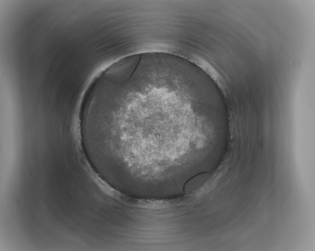 X0000111591072200907301421