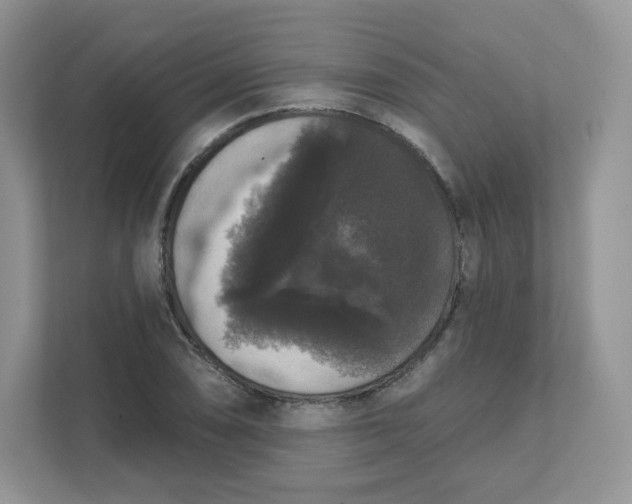 X0000111591074200907301421