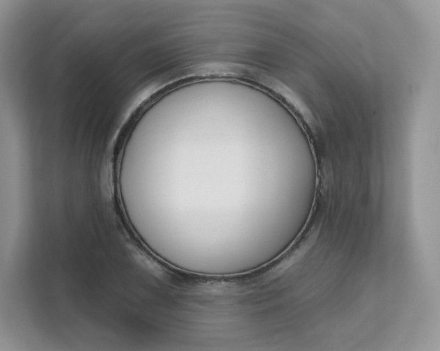 X0000111591075200907301421