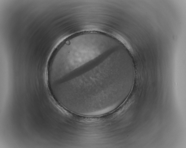 X0000111591076200907301421