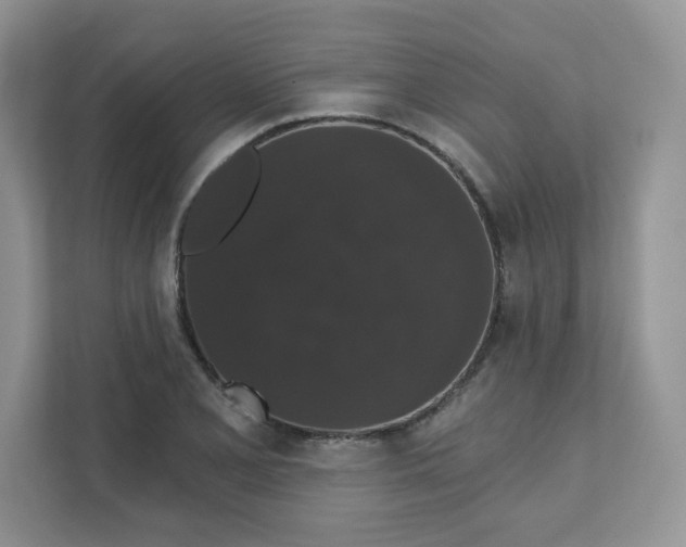 X0000111591077200907301421