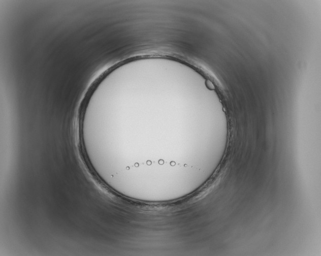 X0000111591079200907301421