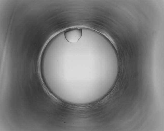 X0000111591080200907301421