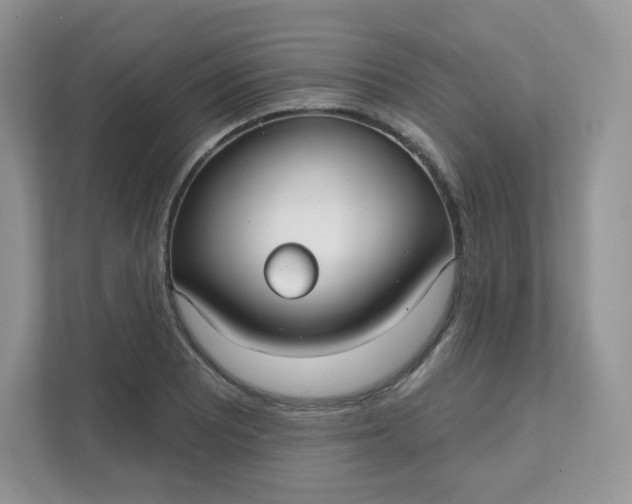 X0000111591081200907301421