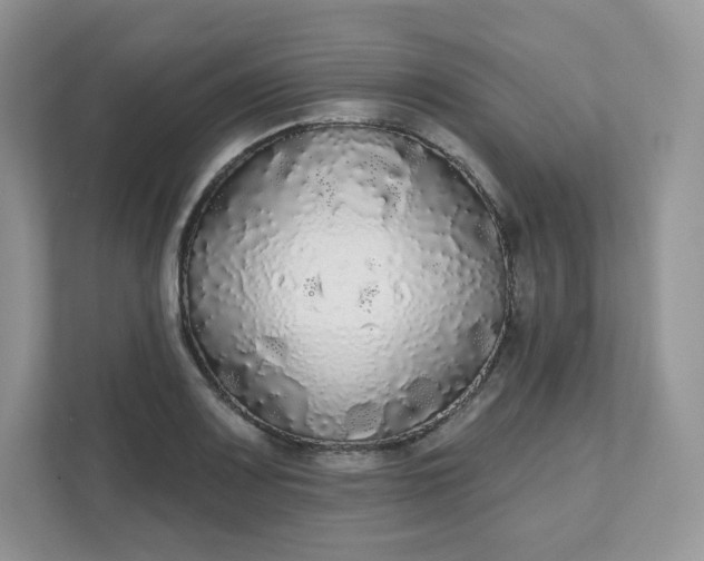 X0000111591083200907301421