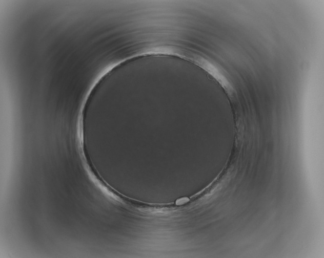 X0000111591084200907301421