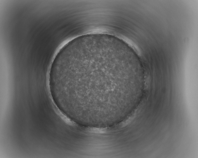 X0000111591086200907301421