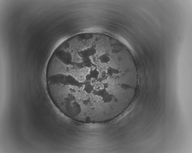 X0000111591087200907301421