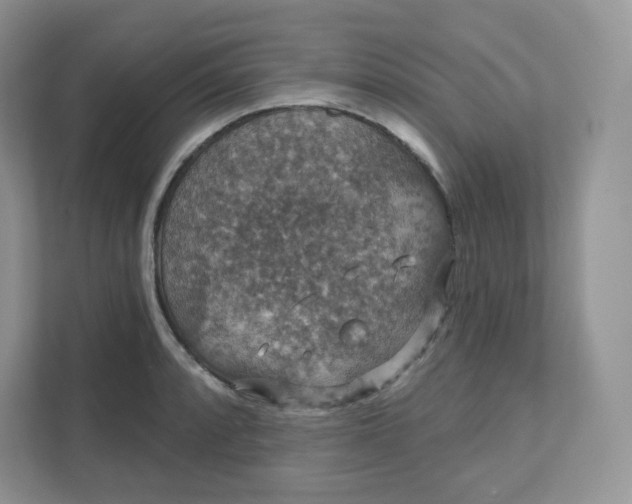 X0000111591088200907301421