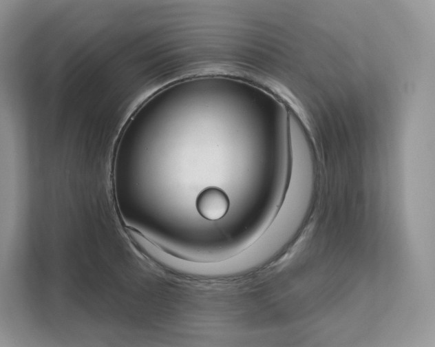 X0000111591089200907301421