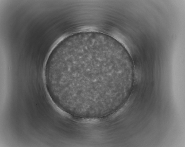 X0000111591090200907301421