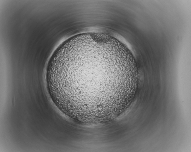 X0000111591091200907301421