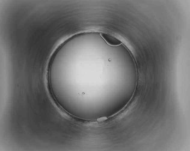 X0000111591093200907301421