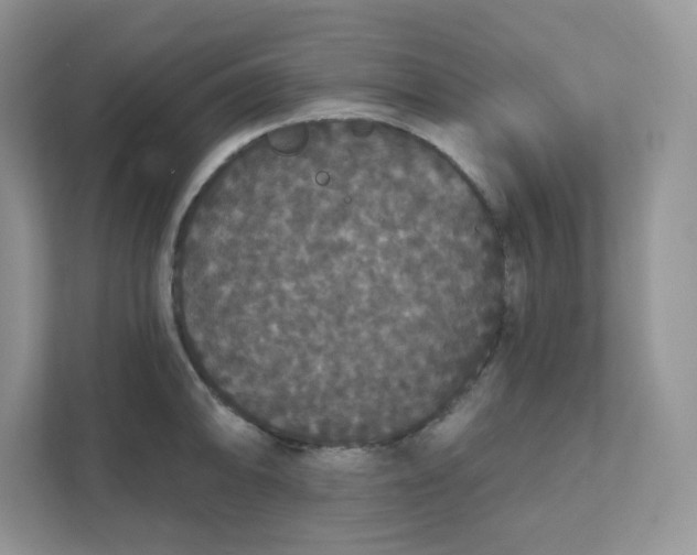 X0000111591094200907301421