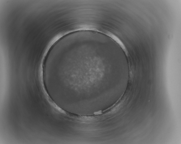 X0000111591096200907301421