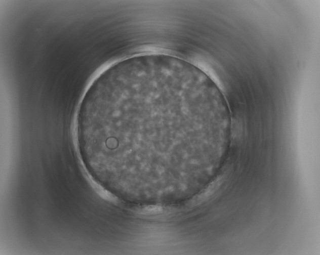 X0000111591098200907301421