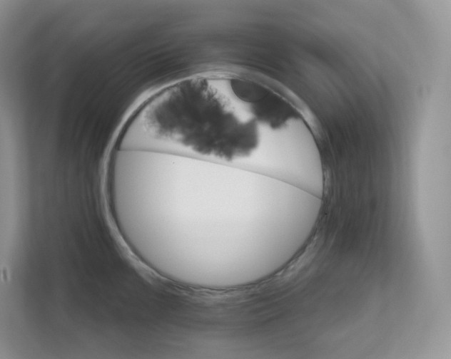 X0000111591099200907301421