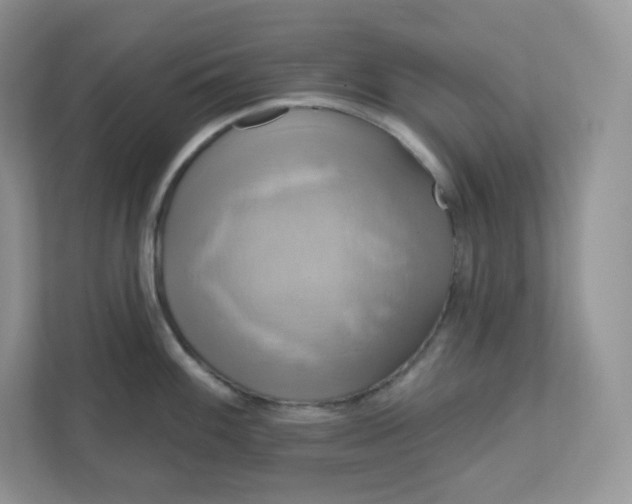 X0000111591100200907301421