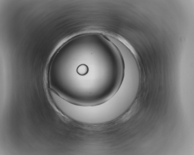 X0000111591101200907301421