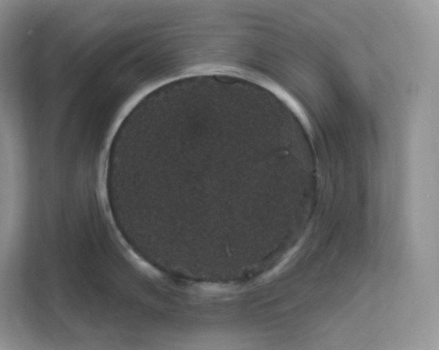 X0000111591102200907301421