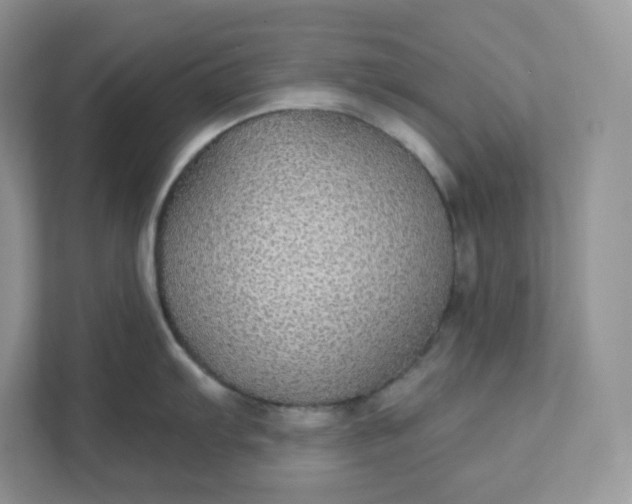 X0000111591103200907301421