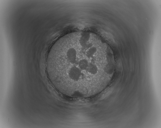 X0000111591105200907301420