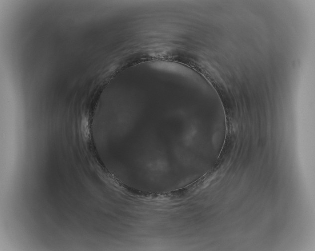 X0000111591106200907301420