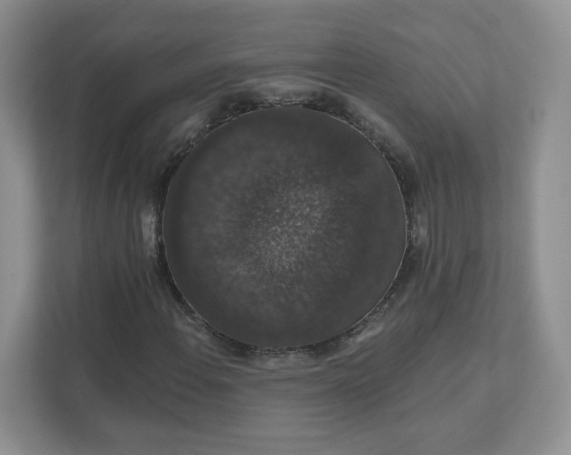 X0000111591108200907301420