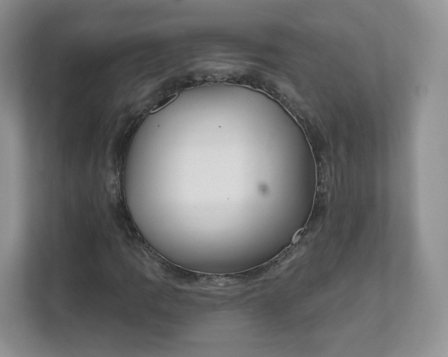 X0000111591109200907301420