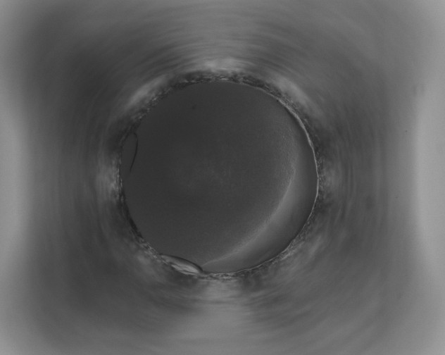 X0000111591110200907301420