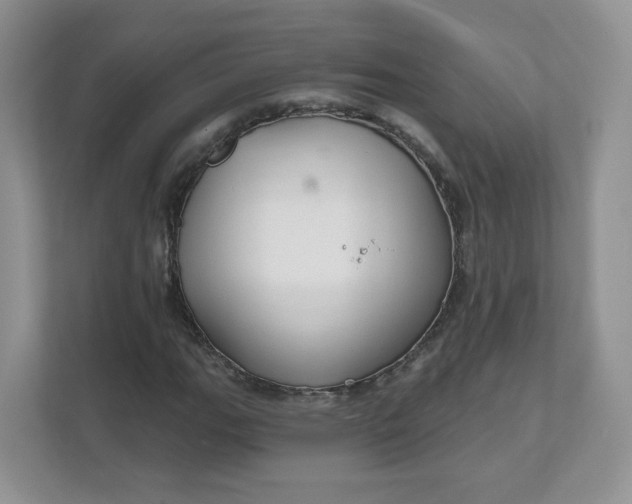 X0000111591111200907301420